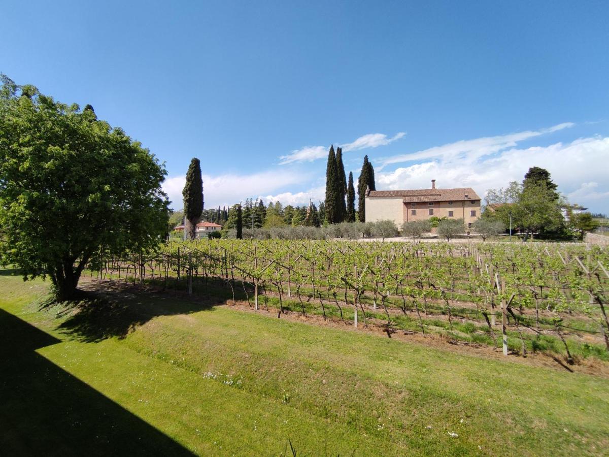 Agriturismo La Vigna Cola  Exterior photo